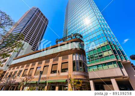 東京　港区白金の都市風景　NBFプラチナタワーと白金タワー 89139258