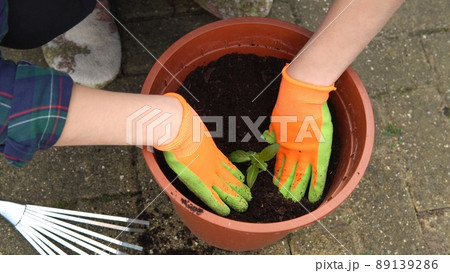 Happy Preschool little girl kid Daughter wear works gloves humic boots planting flowers in pot in garden. Child Helping mother outside. Family Nature gardering, environmental Spring Summer concept 89139286