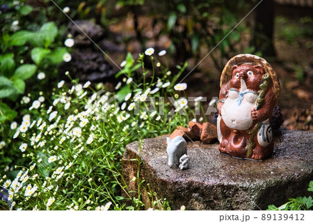 たぬきと花と象 89139412