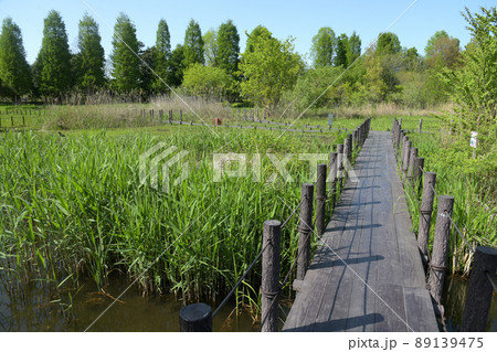 川口自然公園 埼玉県川口市差間沼内 川口自然公園 埼玉県川口市差間沼内 89139475