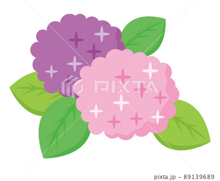 紫陽花　ベクターイラスト 89139689