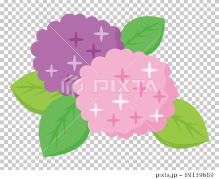 紫陽花　ベクターイラスト 89139689