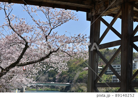 岩国市錦帯橋と桜 岩国市錦帯橋と桜 89140252