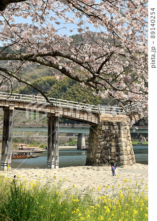 岩国市錦帯橋と桜 岩国市錦帯橋と桜 89140254