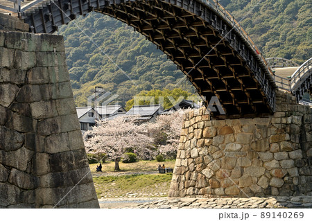 岩国市錦帯橋と桜 89140269