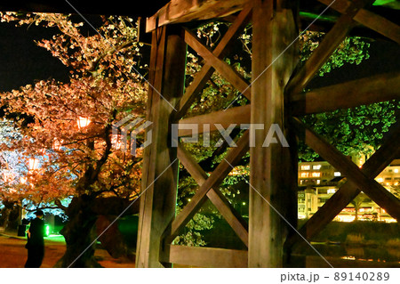 岩国市錦帯橋と桜の夜景 89140289