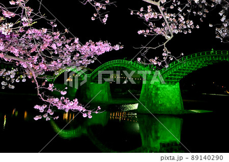岩国市錦帯橋と桜の夜景 89140290