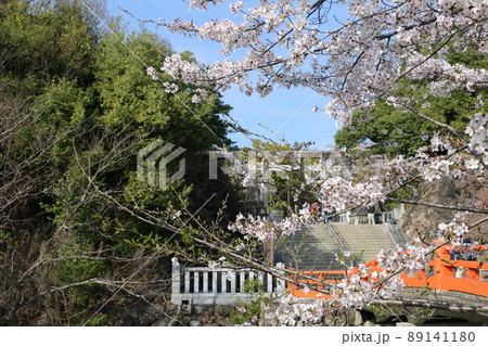 大勢の参拝客が訪れる武田神社 大勢の参拝客が訪れる武田神社 89141180