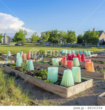 Square Public garden at the front of the residences at Daybreak in South Jordan, Utah 89141559