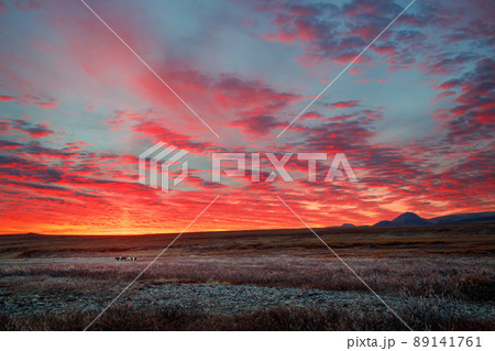 Amazing arctic landscape 89141761