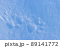 Footprints of a wild animal on the snow surface. Winter season in the Arctic. 89141772