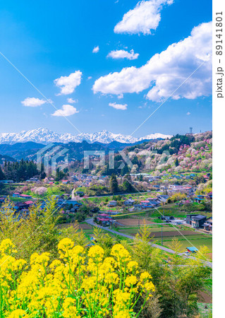 【里山の春】小川村・二反田の桜【長野県】 89141801