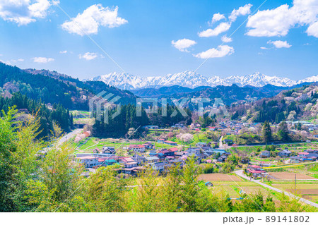 【里山の春】小川村・二反田の桜【長野県】 89141802