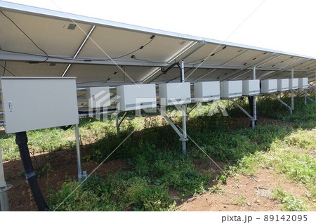雑草が生い茂った太陽光発電所 89142095