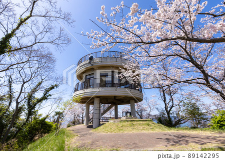 積善山山頂の桜（愛媛県岩城島） 89142295