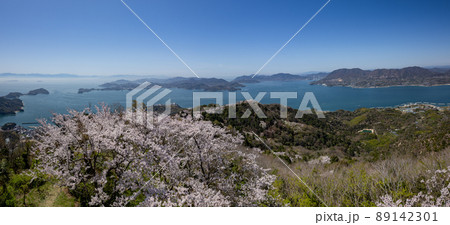 積善山山頂の桜(愛媛県岩城島)の山岳風景 積善山山頂の桜(愛媛県岩城島)の山岳風景 89142301