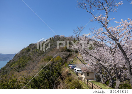 積善山山頂の桜（愛媛県岩城島） 89142315