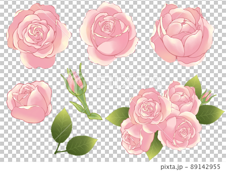 Gentle color rose parts and bouquet 89142955
