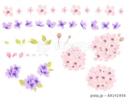 水彩さくら&すみれパーツ 水彩さくら&すみれパーツ 89142956