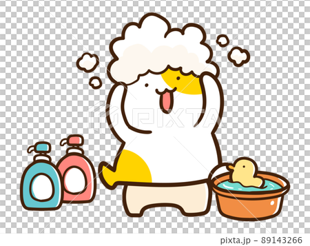 手描きイラスト Wシャンプー