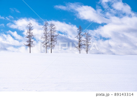 《北海道》マイルドセブンの丘・冬の美瑛 《北海道》マイルドセブンの丘・冬の美瑛 89143314