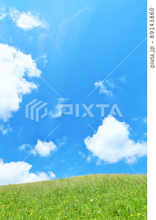 爽やかな青空と新緑の草原風景 89143860
