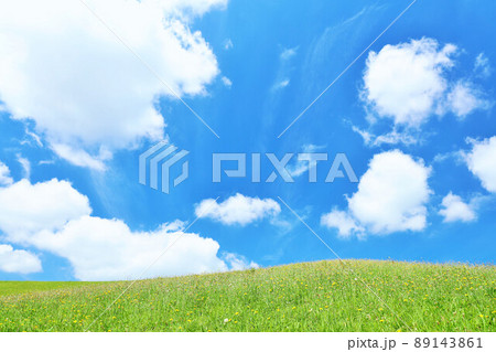 爽やかな青空と新緑の草原風景 89143861