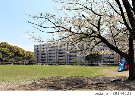 桜咲く公園 桜咲く公園 89144523