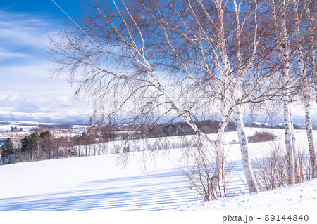 《北海道》冬の美瑛・白樺と雪原の大地 《北海道》冬の美瑛・白樺と雪原の大地 89144840
