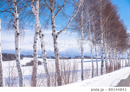 《北海道》冬の美瑛・白樺と雪原の大地 《北海道》冬の美瑛・白樺と雪原の大地 89144841