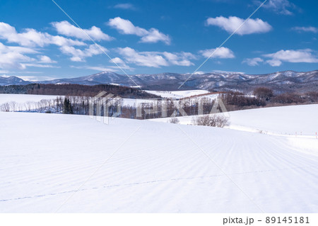 《北海道》冬の美瑛・雪原の大地 《北海道》冬の美瑛・雪原の大地 89145181