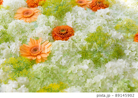 白いアジサイとオレンジのガーベラののフラワーアレンジ 白いアジサイとオレンジのガーベラののフラワーアレンジ 89145902