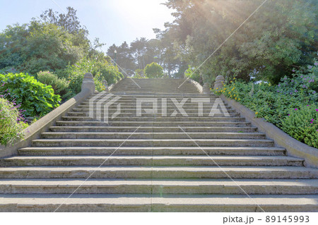 Concrete perron staircase with plants and trees on both sides in San Francisco, California 89145993
