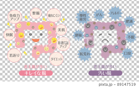 腸活イラスト　善玉菌が多い腸　悪玉菌が多い腸 89147519