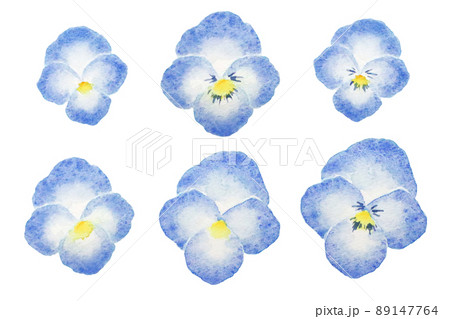 パンジーのイラスト素材