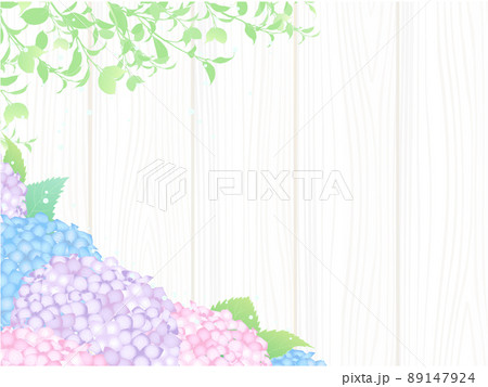 あじさいの背景 カラフル 木の葉 左寄り 白系木目 のイラスト素材