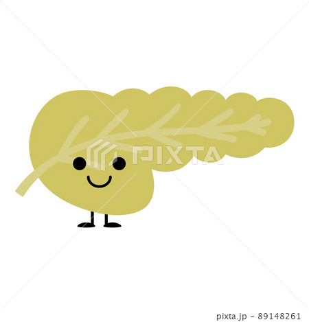 かわいい内臓ちゃん　膵臓 89148261