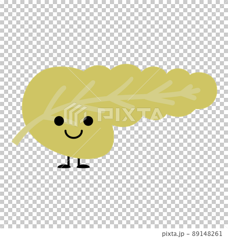 かわいい内臓ちゃん　膵臓 89148261