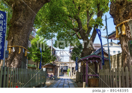 阿倍王子神社の参道　初夏【大阪市阿倍野区】 89148395