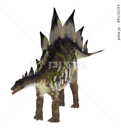 ステゴサウルス☆Stegosaur 89150204