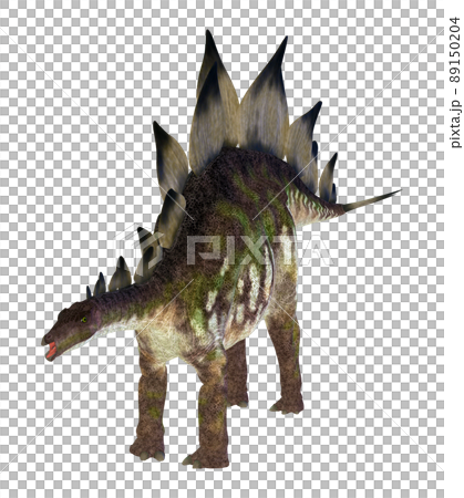 ステゴサウルス☆Stegosaur 89150204