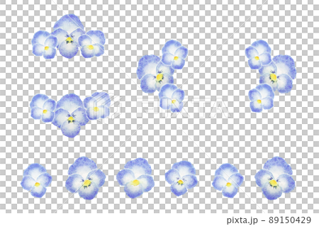 パンジー 89150429