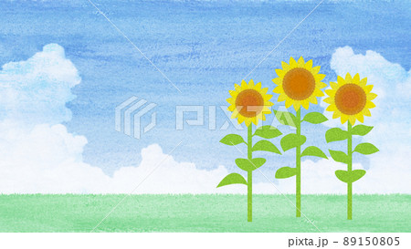 ヒマワリ　水彩 89150805