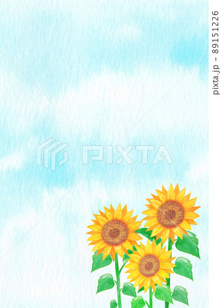 イラスト素材 水彩絵の具で手描きした向日葵の花畑と青空の背景 3本 複数本のイラスト素材