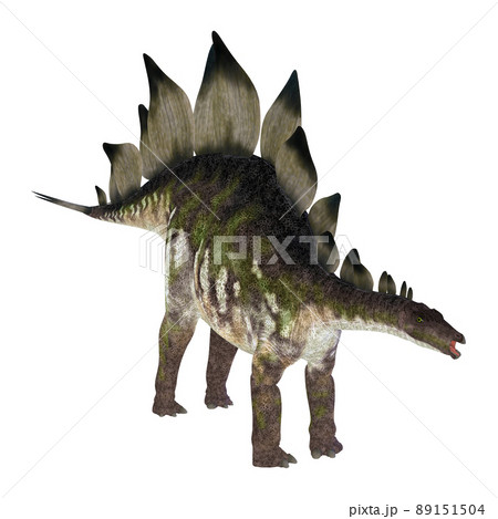 ステゴサウルス☆Stegosaur 89151504