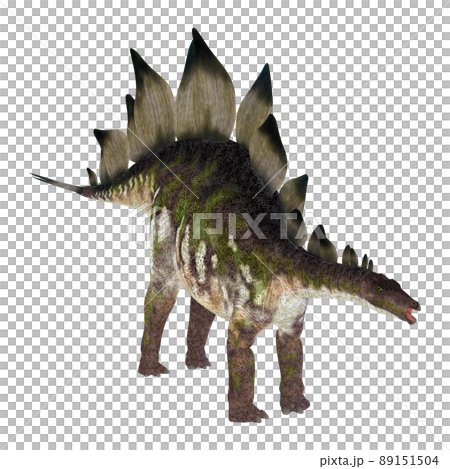 ステゴサウルス☆Stegosaur 89151504