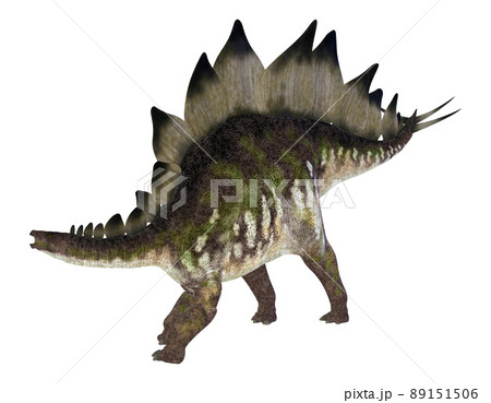 ステゴサウルス☆Stegosaur 89151506