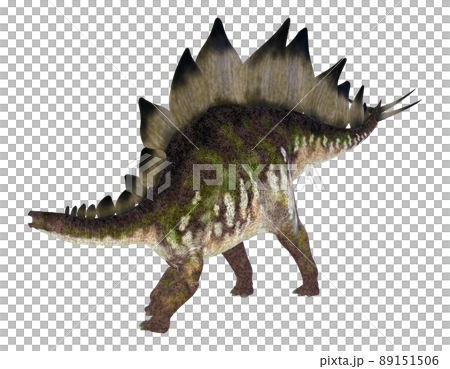 ステゴサウルス☆Stegosaur 89151506