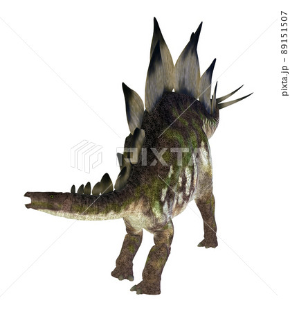 ステゴサウルス☆Stegosaur 89151507