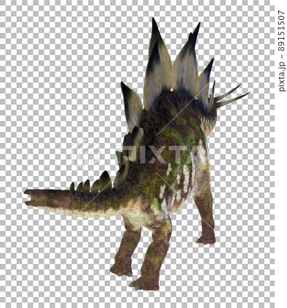 ステゴサウルス☆Stegosaur 89151507
